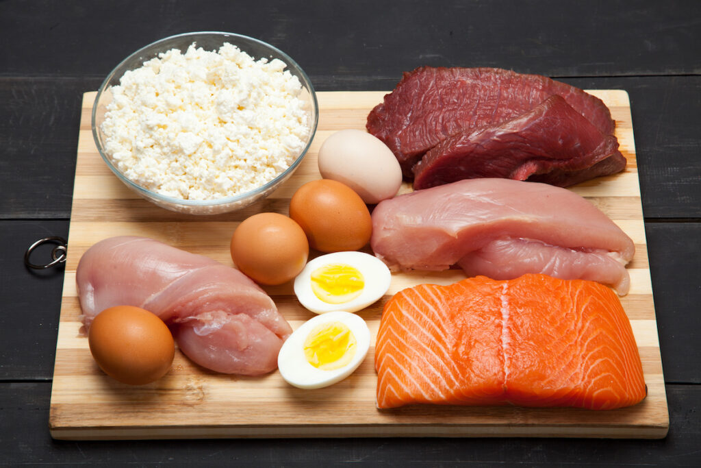 aliments riches en protéines
