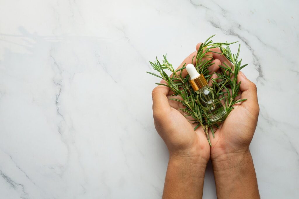 Phytothérapie pour maigrir