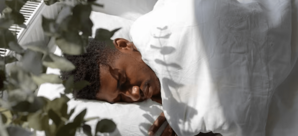 La phytotherapie pour dormir