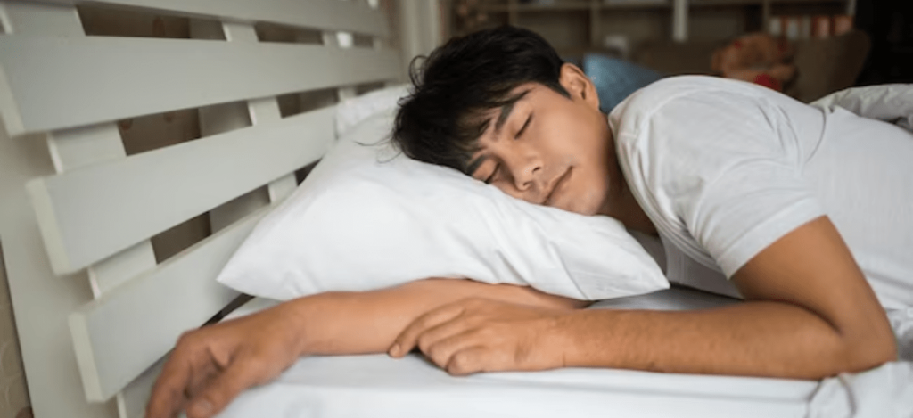 Cycle du sommeil